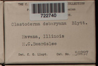 Image Associated With the Occurence